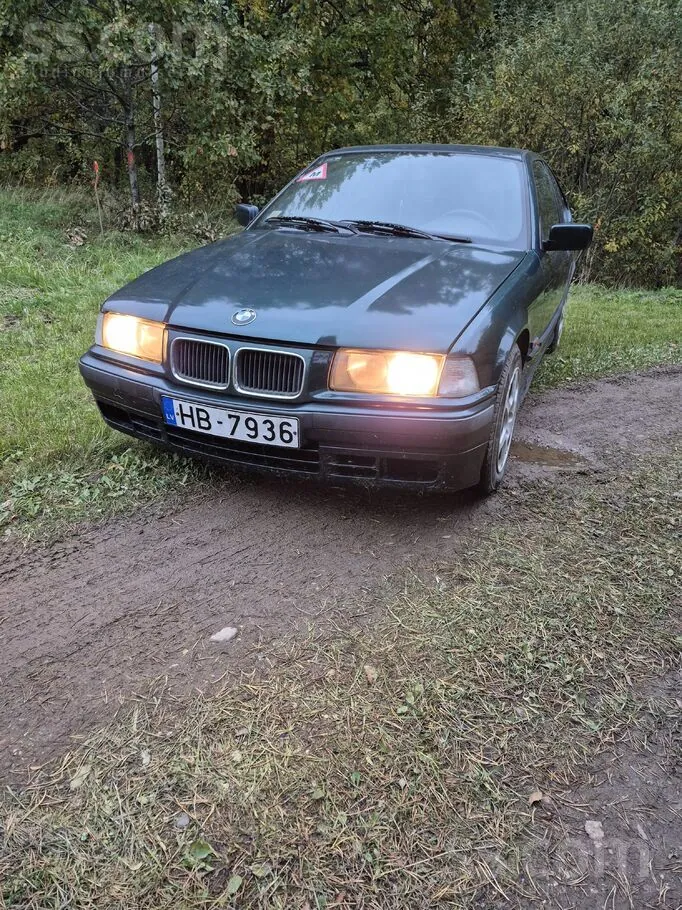BMW 316