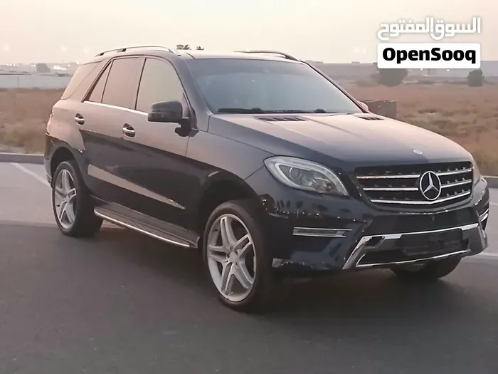 Mercedes-Benz M-Class 2014 photo 4
