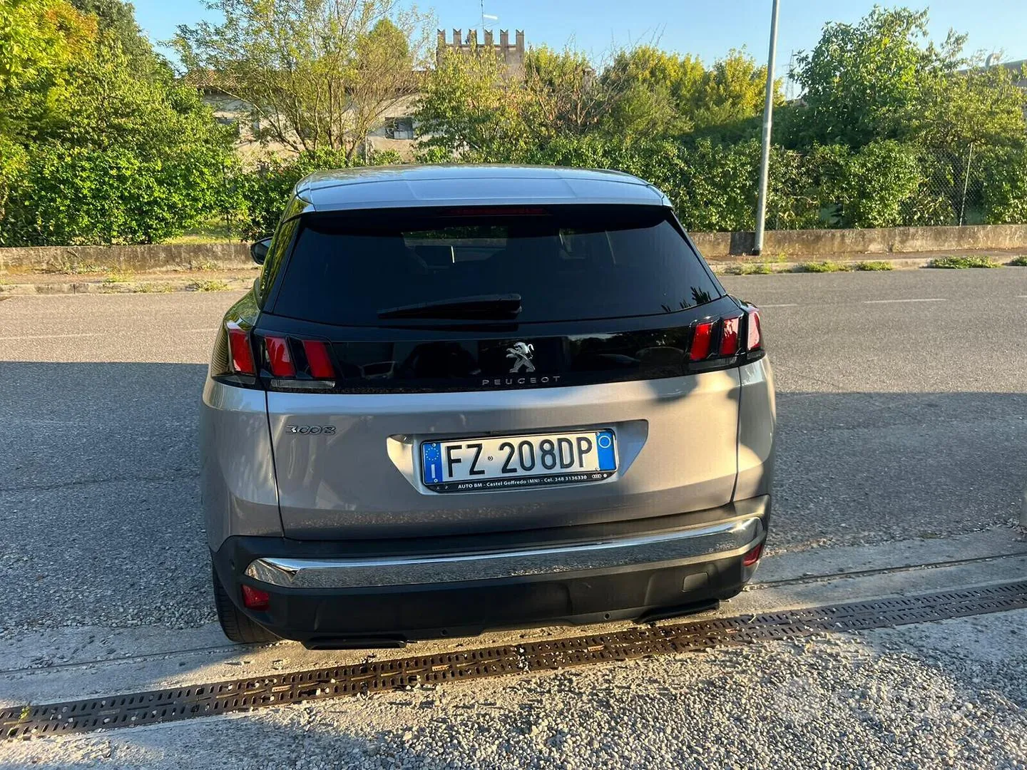 Peugeot 3008 2019 photo 3