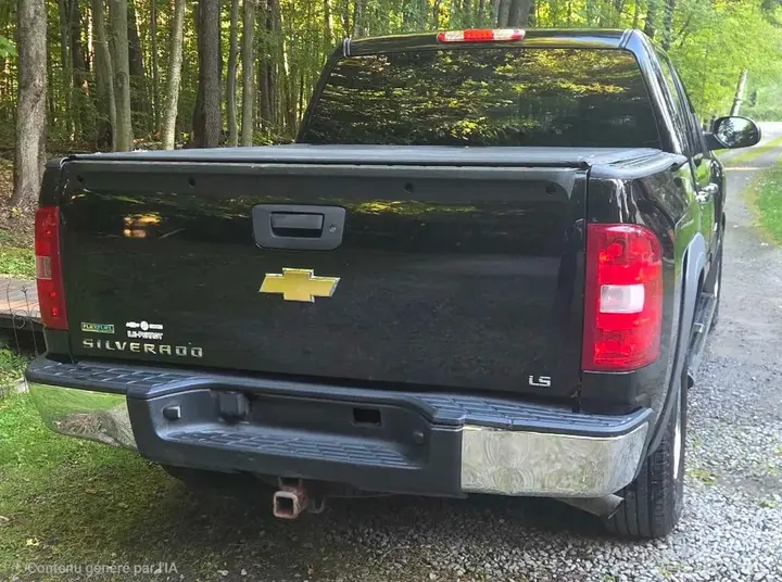 Chevrolet Silverado 1500 2011 photo 5