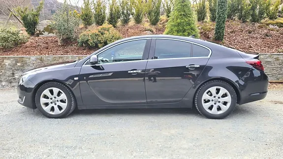 Opel Insignia 2014 photo 3
