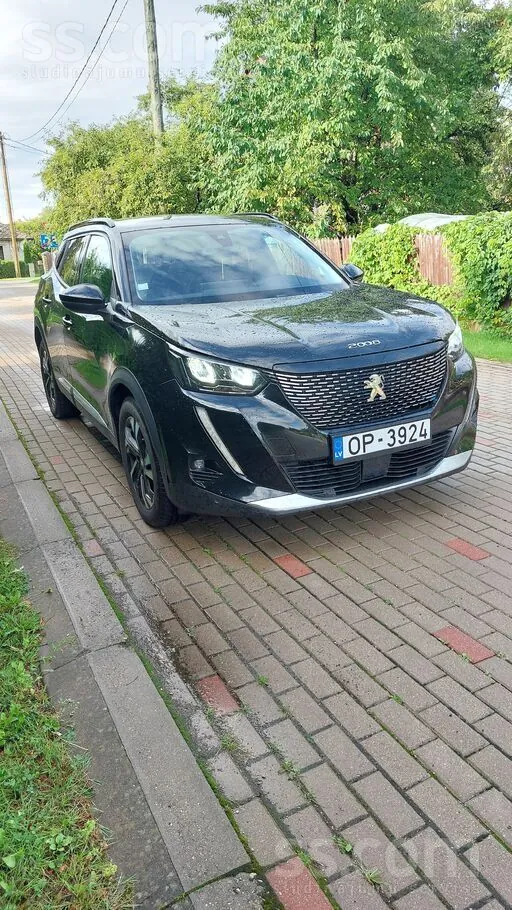 Peugeot 2008 2021 photo 2