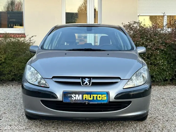 Peugeot 307 2001 photo 3
