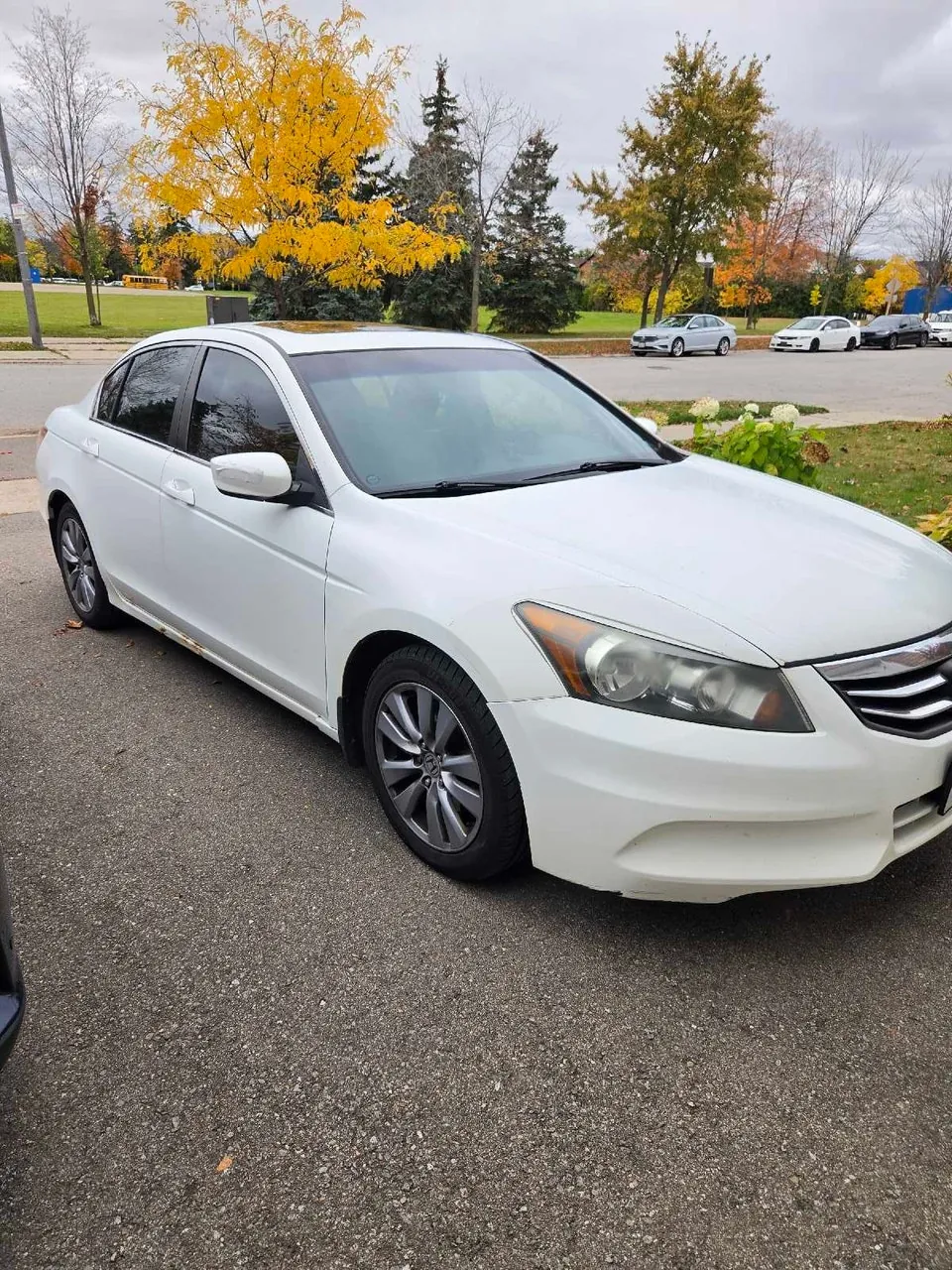 Honda Accord 2011 photo 3
