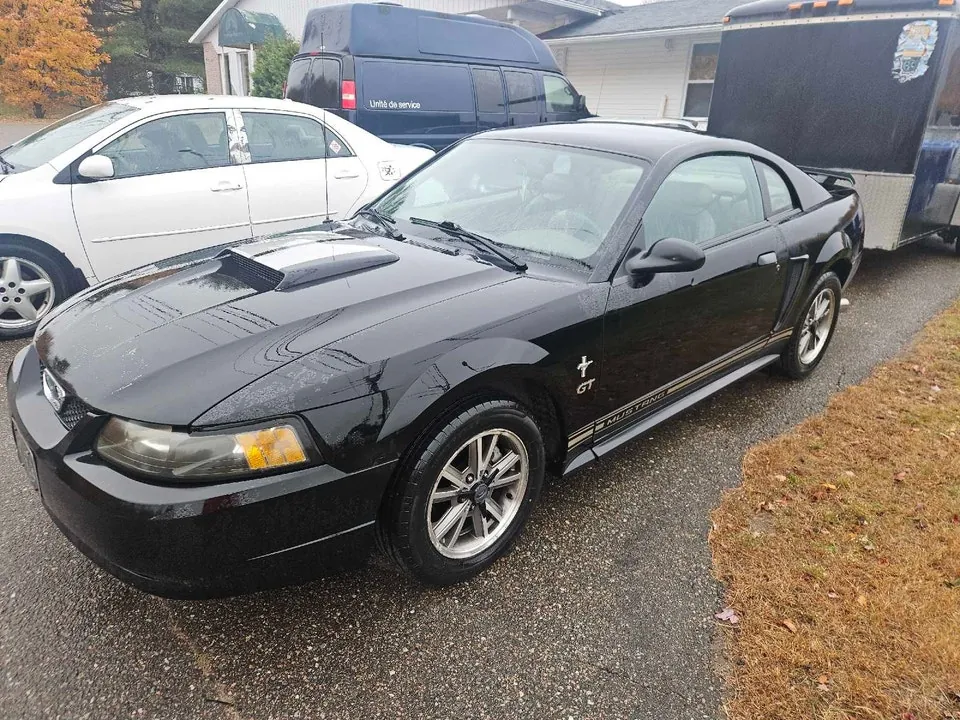 Ford Mustang 2003 photo 2