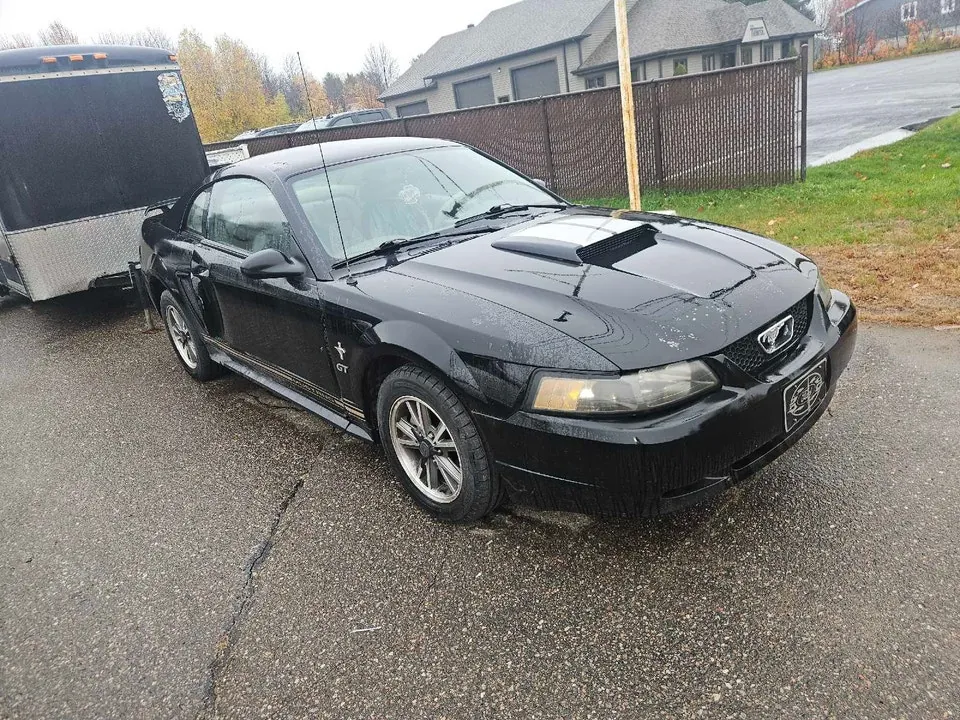 Ford Mustang 2003 photo 3