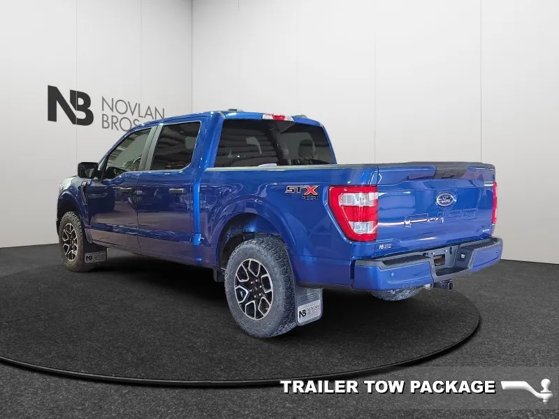 Ford F-150 2022 photo 4