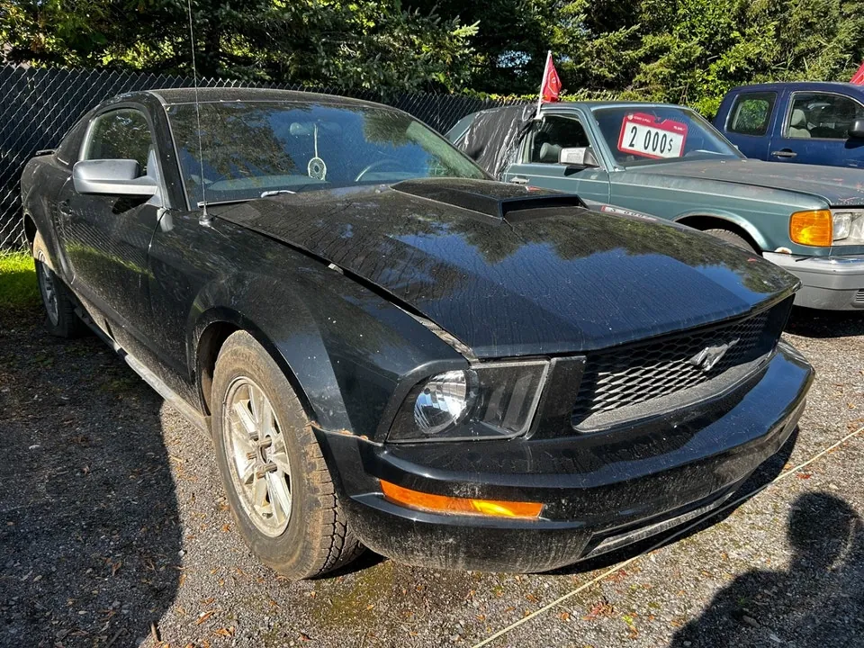 Ford Mustang 2007 photo 4