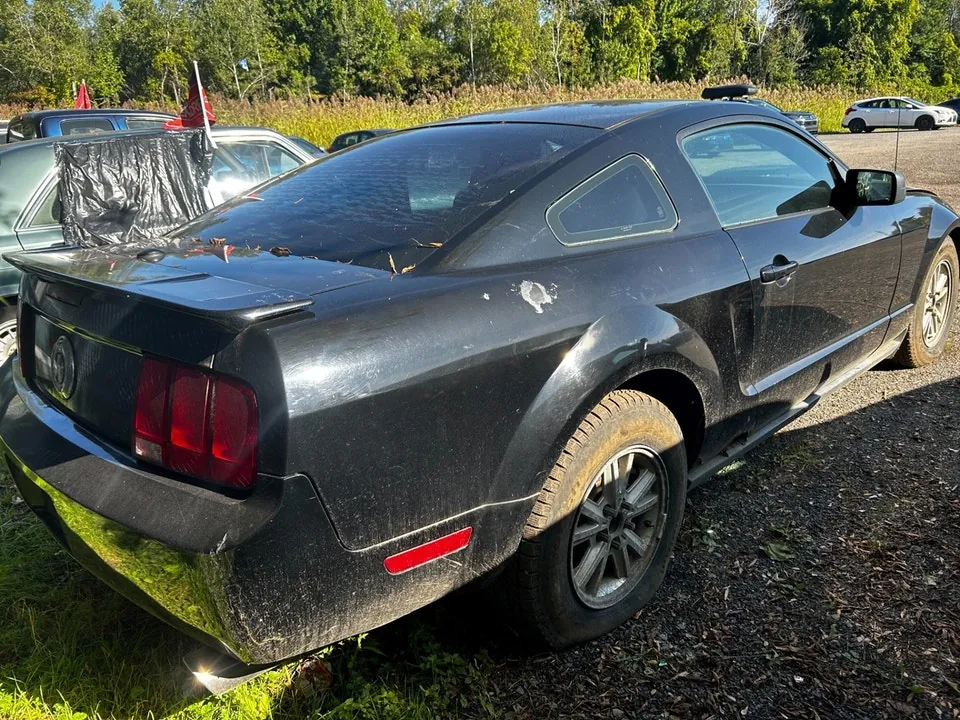 Ford Mustang 2007 photo 3