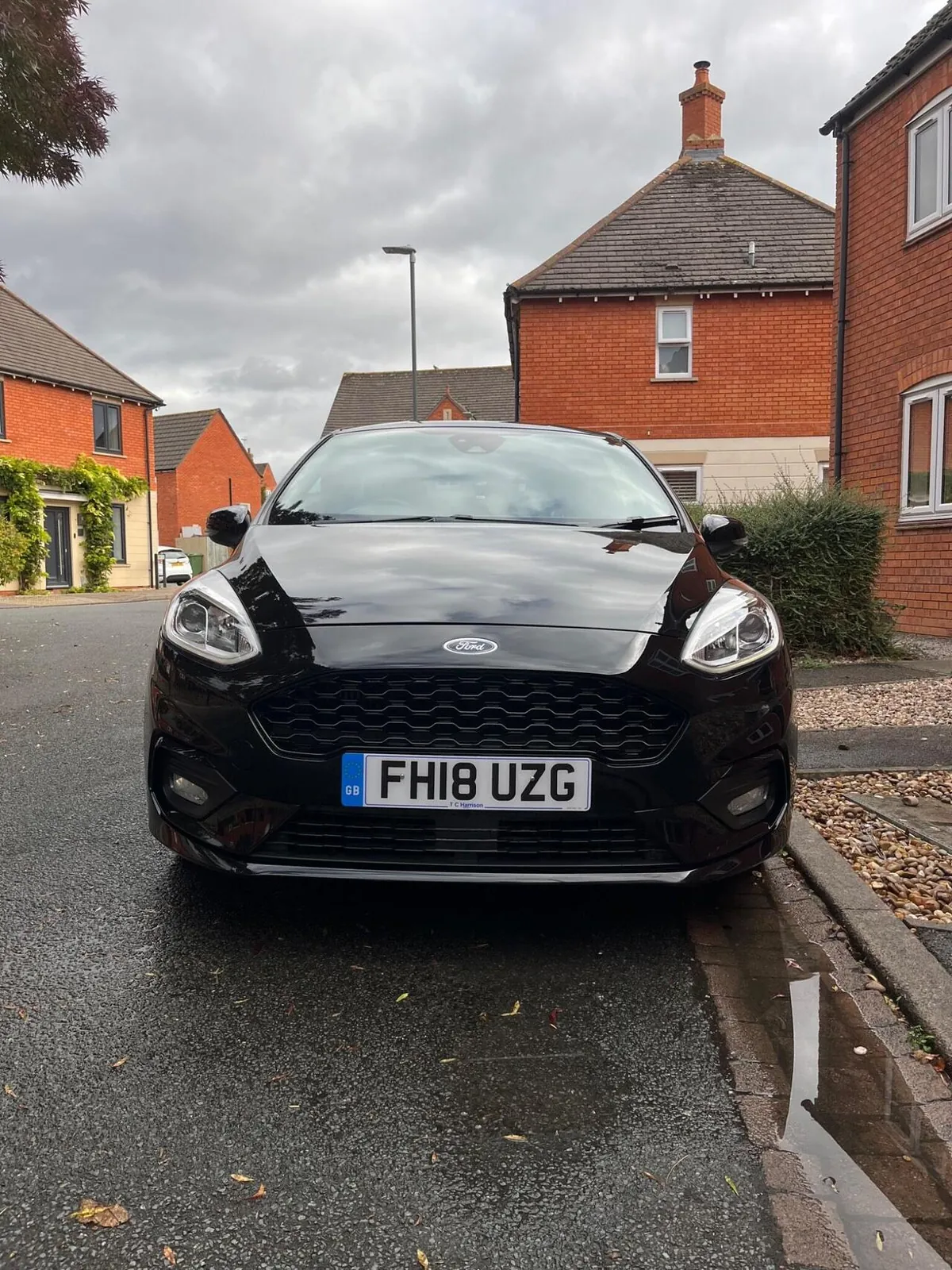 Ford Fiesta 2018 photo 2