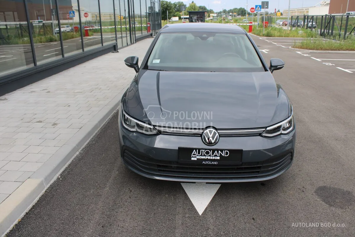 Volkswagen Golf 8 2024 photo 3