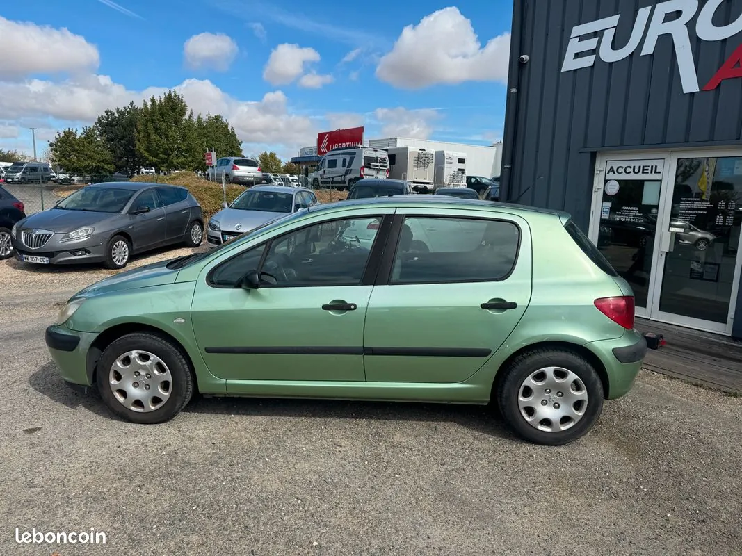 Peugeot 307 2002 photo 5