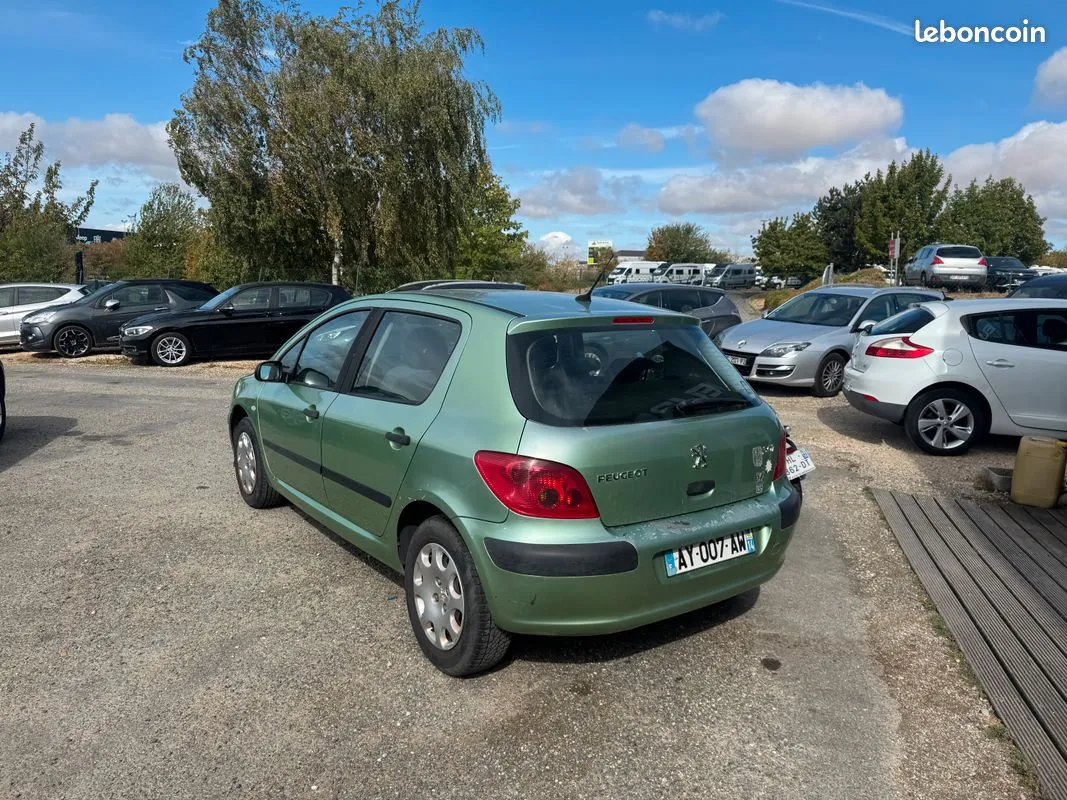 Peugeot 307 2002 photo 2