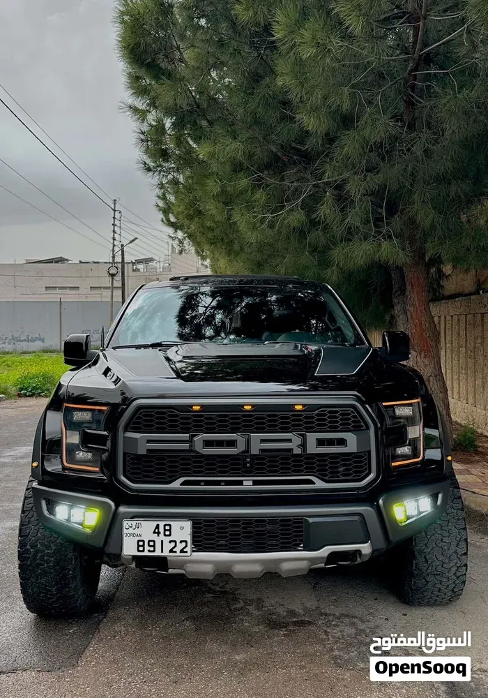 Ford F-150 2017 photo 3