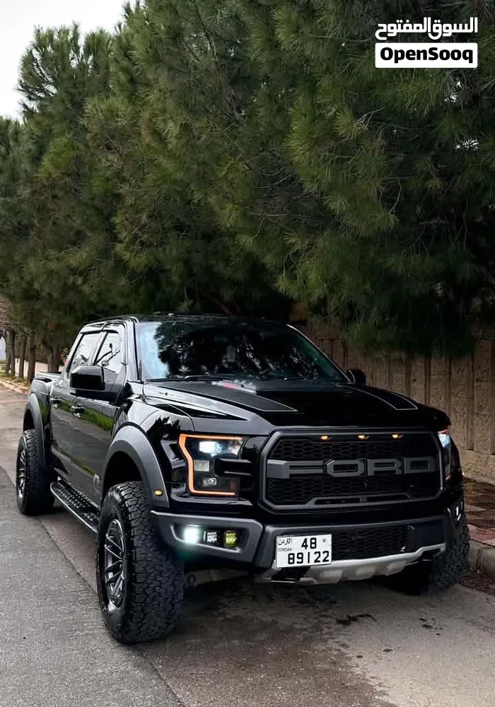 Ford F-150 2017 photo 2