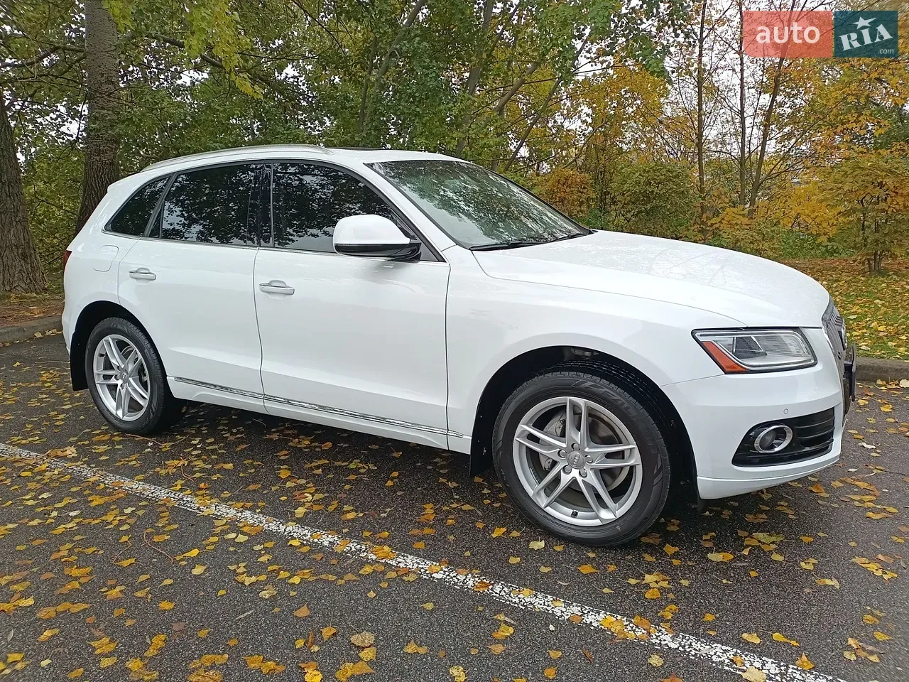 Audi Q5 2016 photo 5