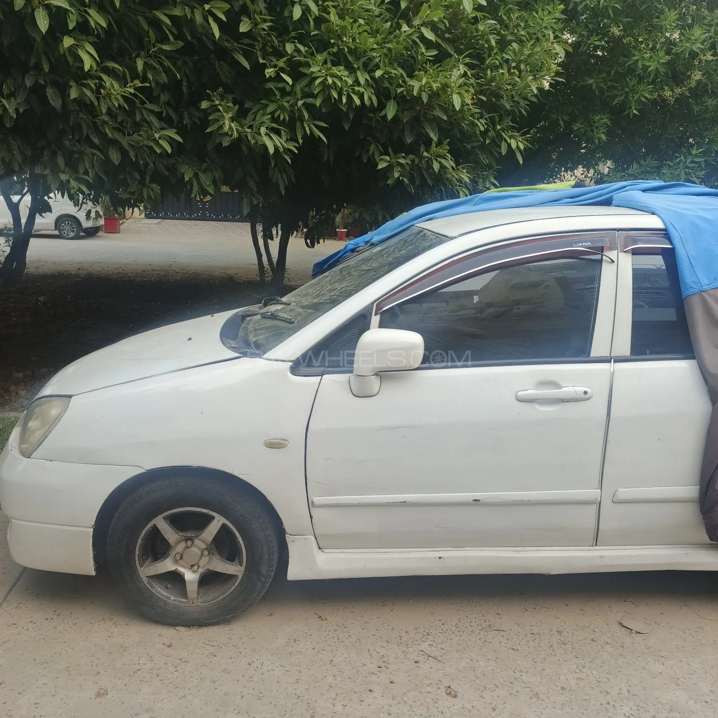 Suzuki Liana