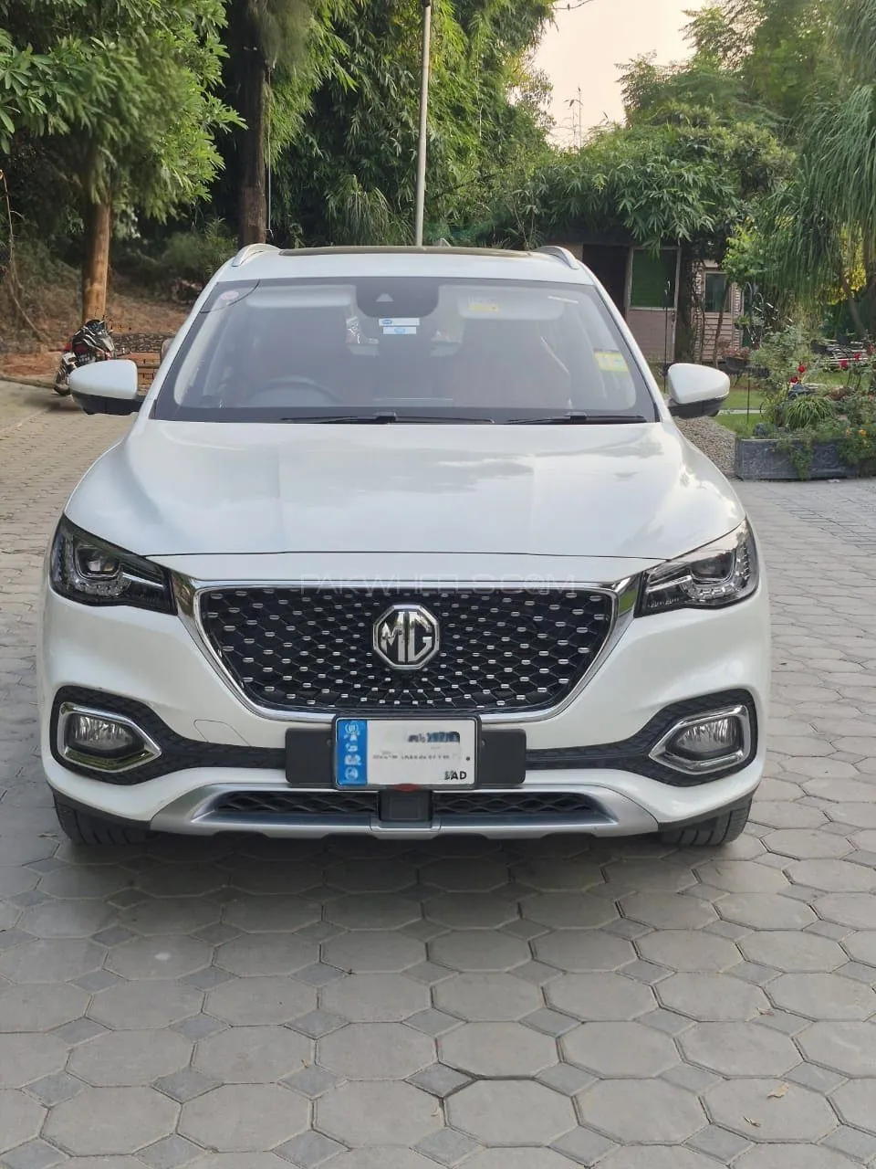 MG Hs