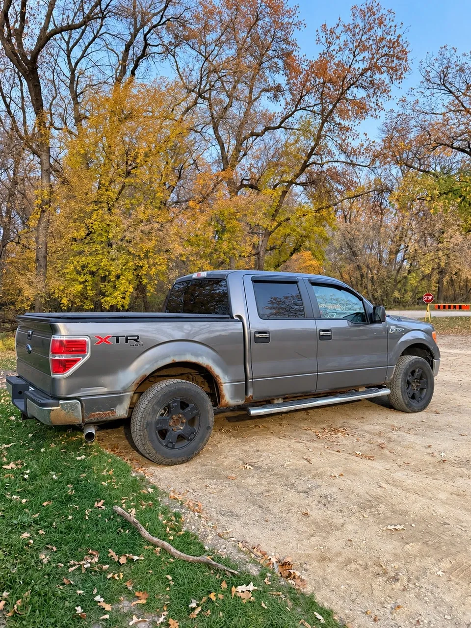 Ford F-150 2013 photo 5