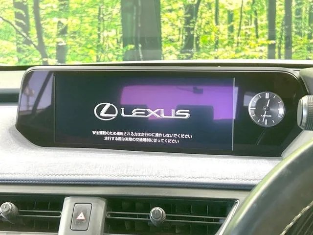 Lexus Ux250H 2019 photo 3