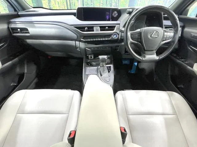Lexus Ux250H 2019 photo 2