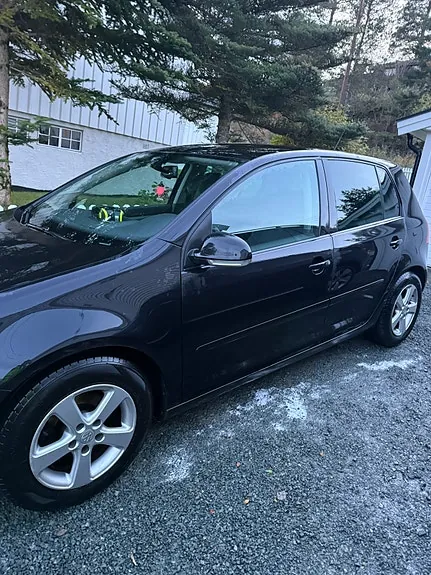 Volkswagen Golf V 2007 photo 4