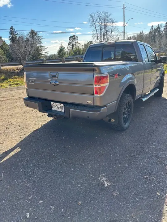 Ford F-150 2010 photo 3