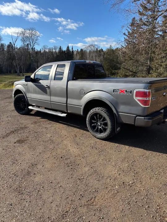 Ford F-150 2010 photo 4