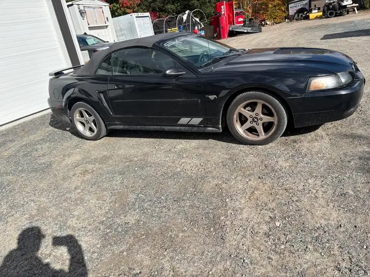 Ford Mustang 2001 photo 5