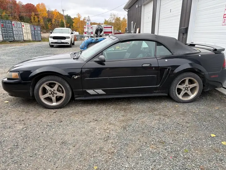 Ford Mustang 2001 photo 2
