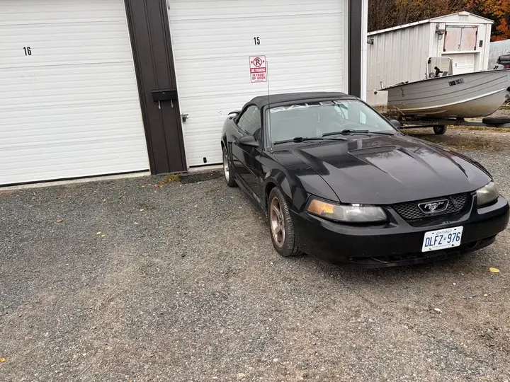 Ford Mustang 2001 photo 4
