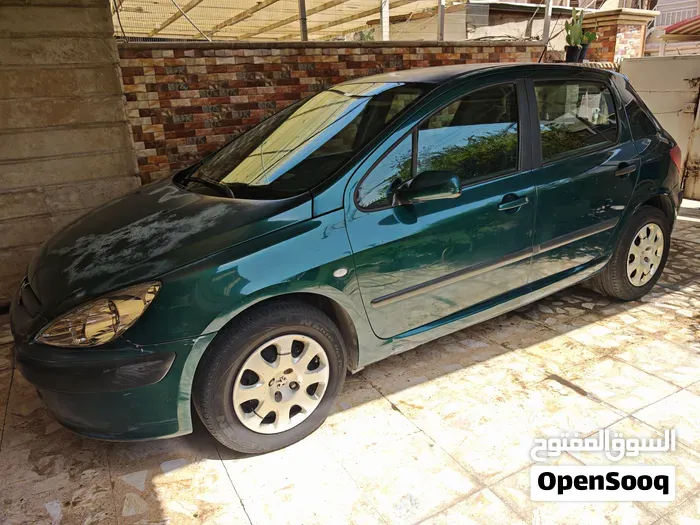 Peugeot 307 2005 photo 5