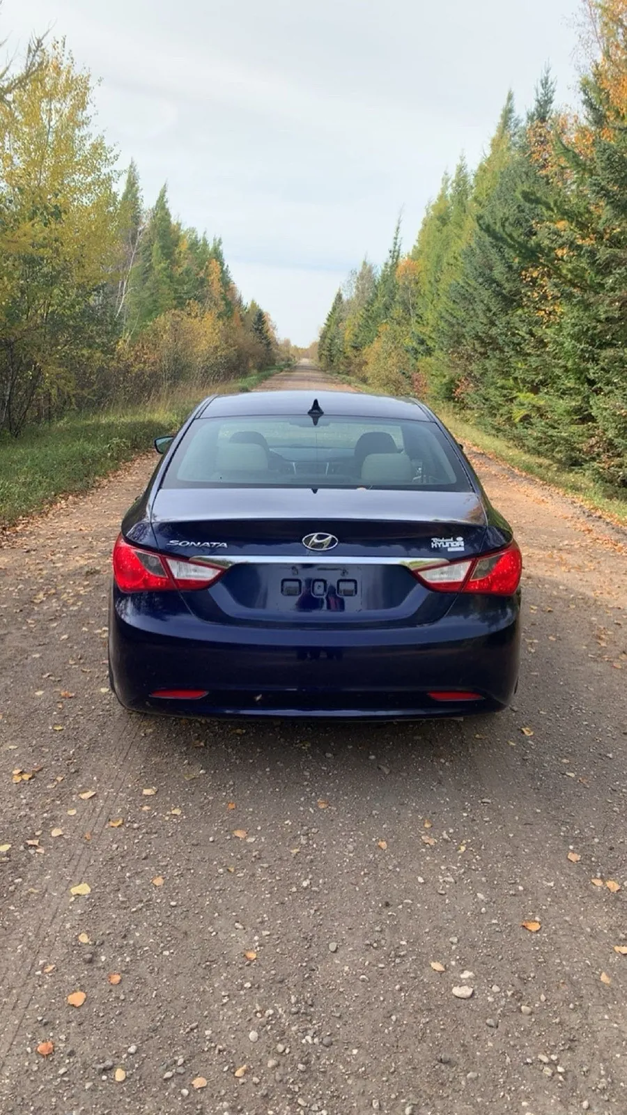 Hyundai Sonata 2011 photo 2