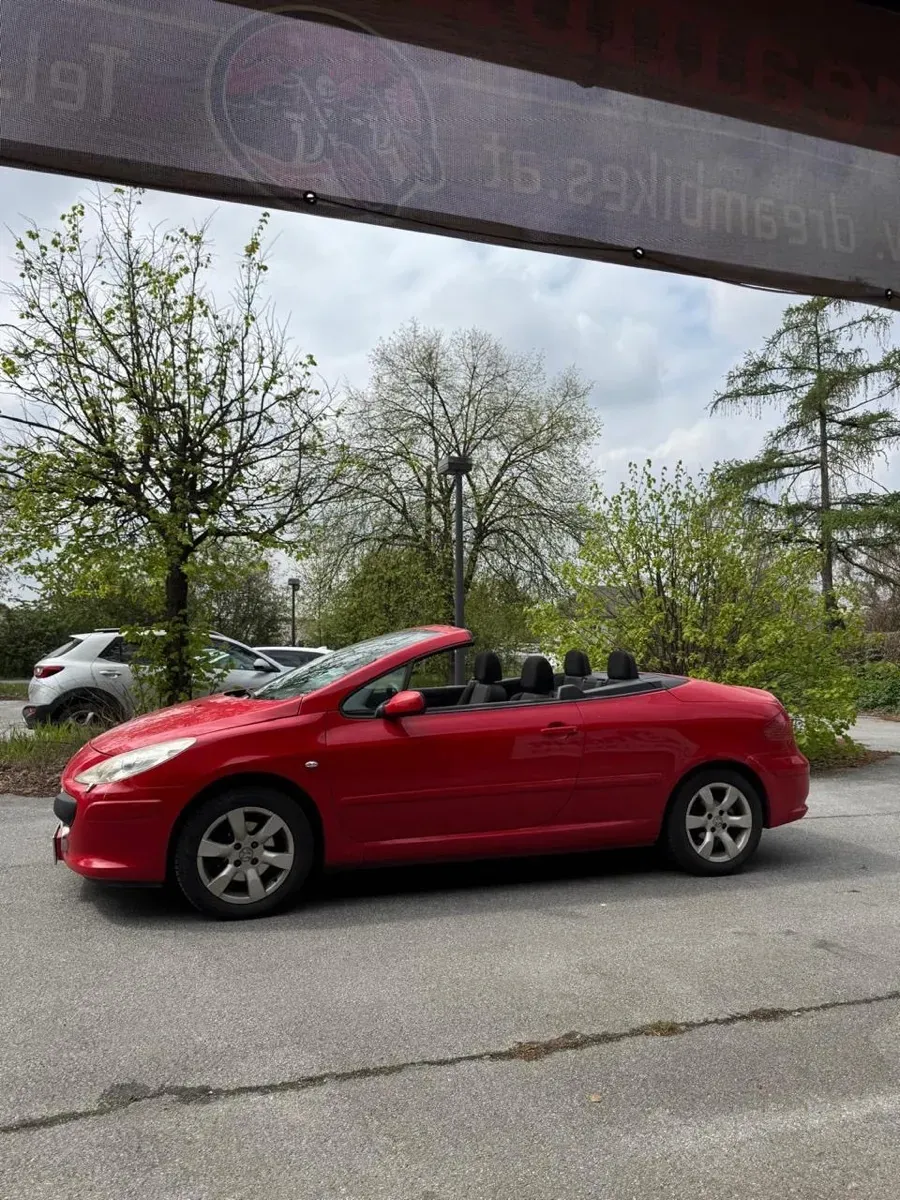 Peugeot 307 2005 photo 3