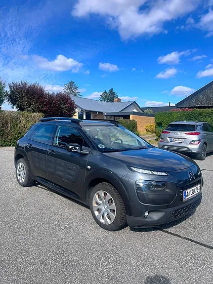 Citroen C4 Cactus 2015 photo 2