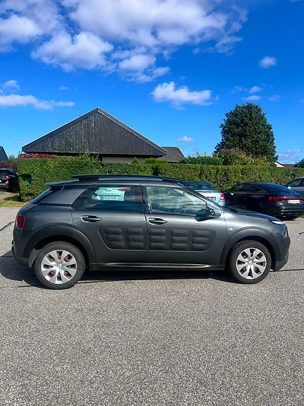 Citroen C4 Cactus 2015 photo 4