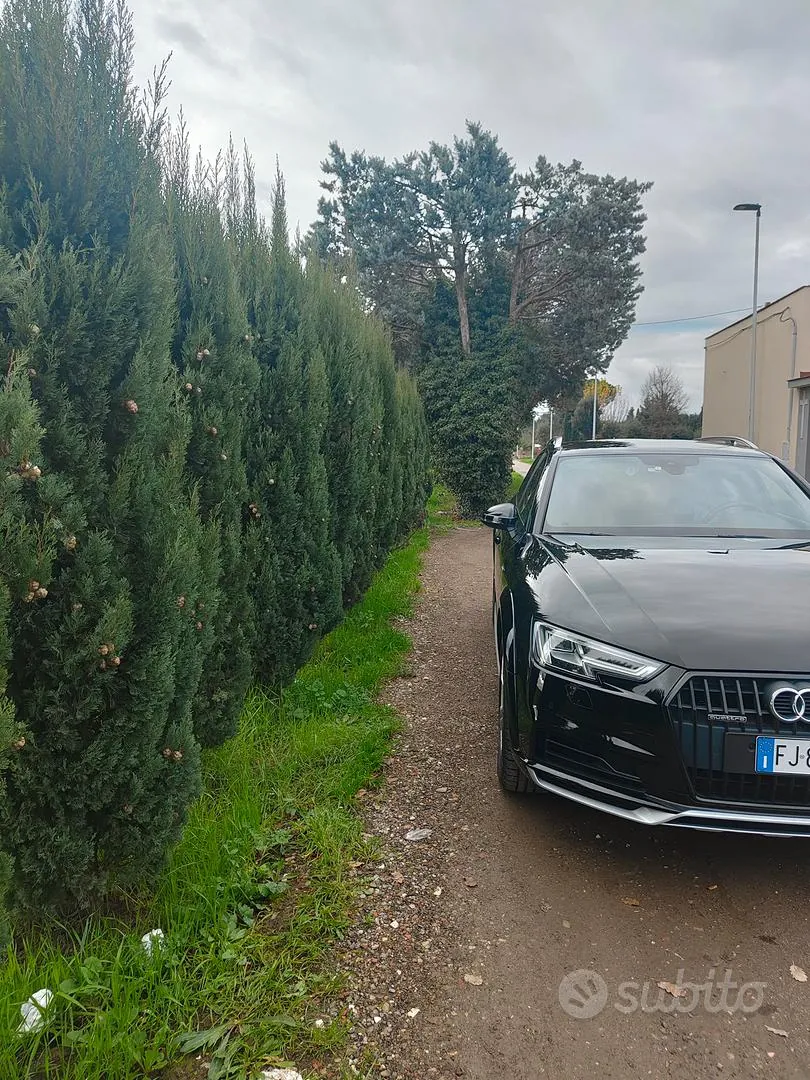 Audi A4 Allroad 2016 photo 3