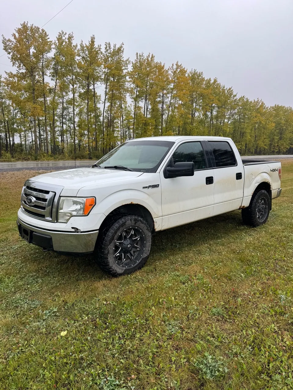 Ford F-150 2012 photo 2