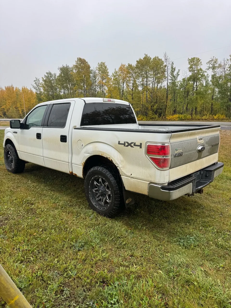 Ford F-150 2012 photo 4