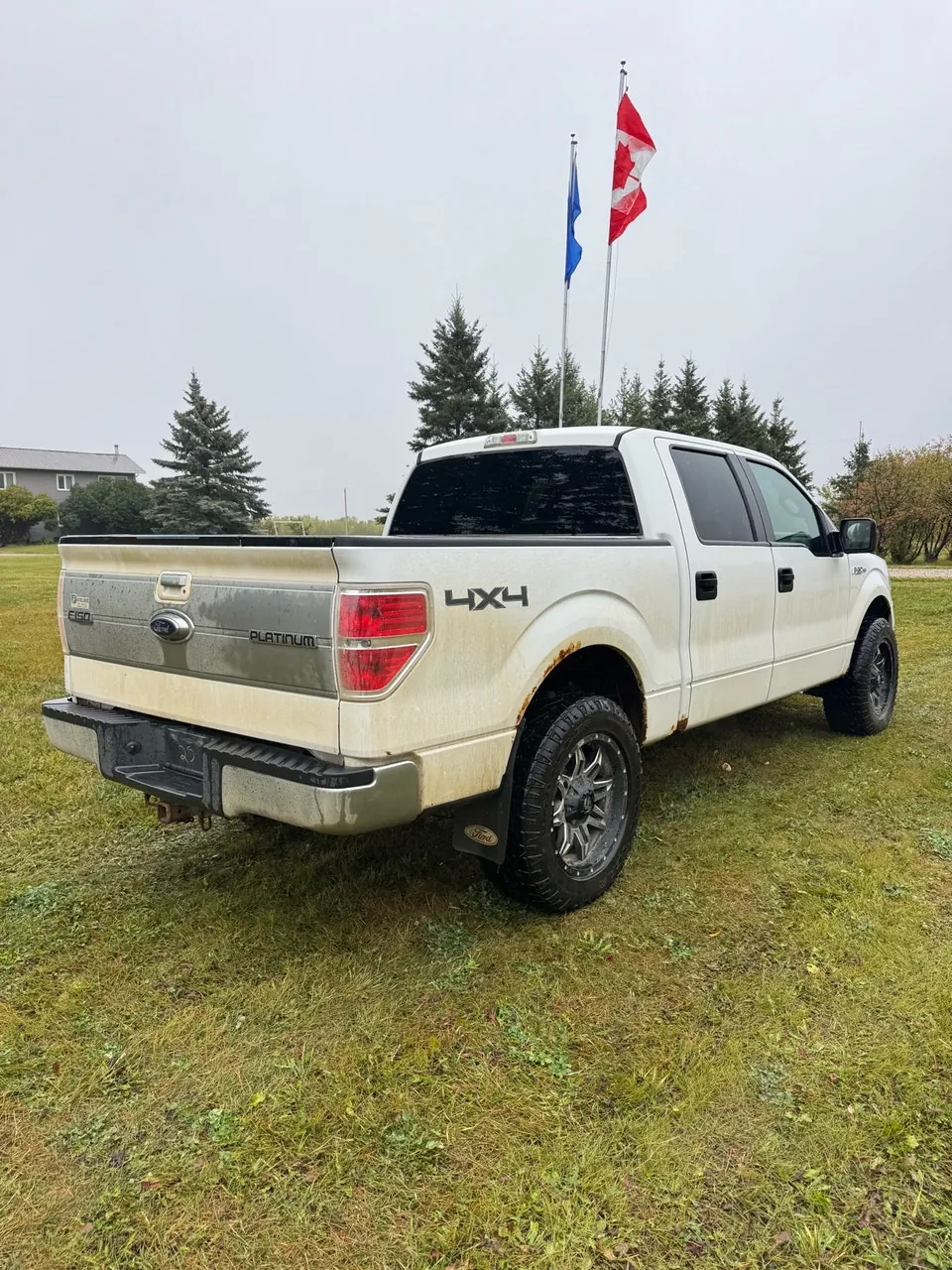Ford F-150 2012 photo 3