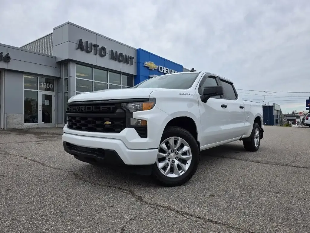 Chevrolet Silverado 1500 2022 photo 2