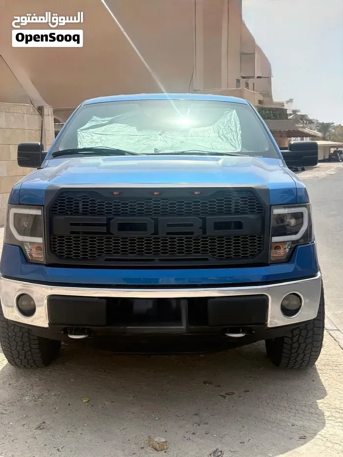 Ford F-150 2014 photo 5