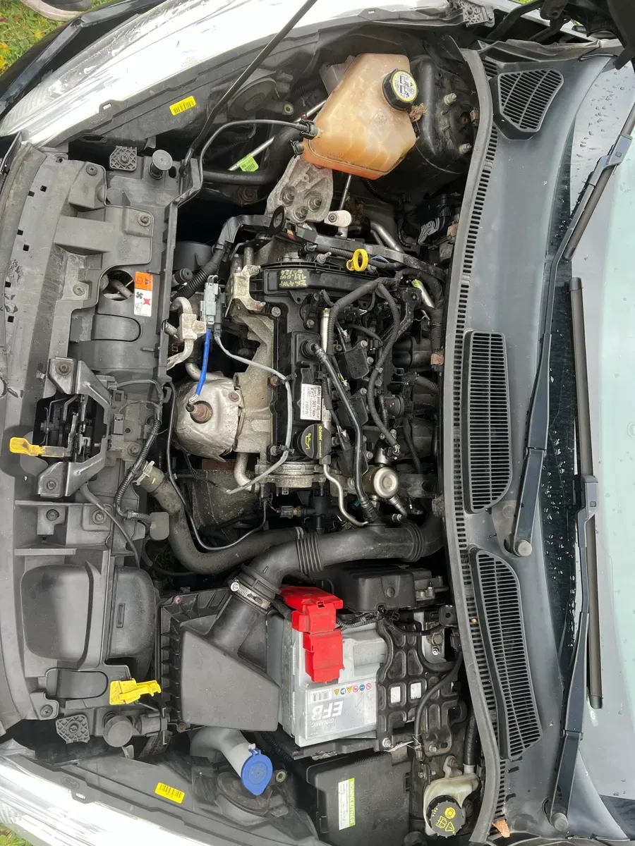Ford Fiesta 2016 photo 3