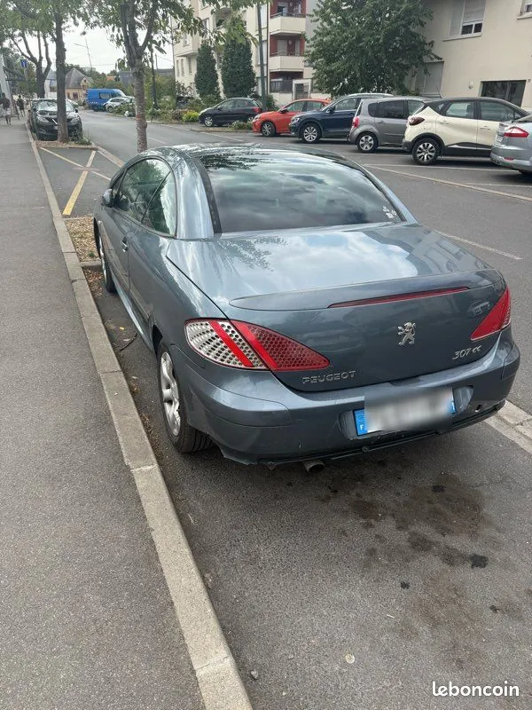 Peugeot 307 2006 photo 3