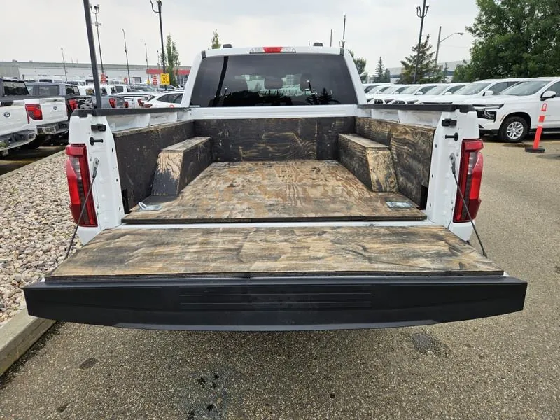 Ford F-150 2025 photo 5