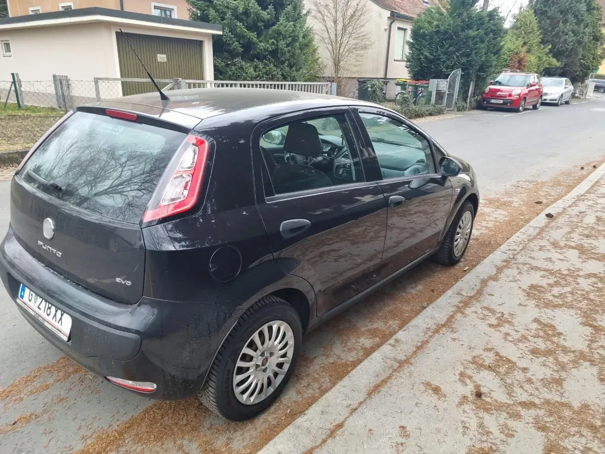 Fiat Punto 2011 photo 2