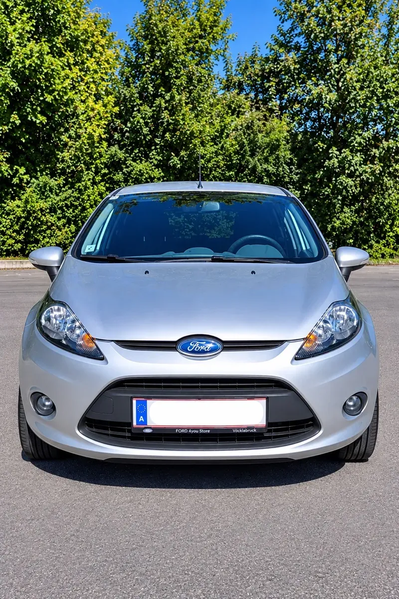 Ford Fiesta 2010 photo 2