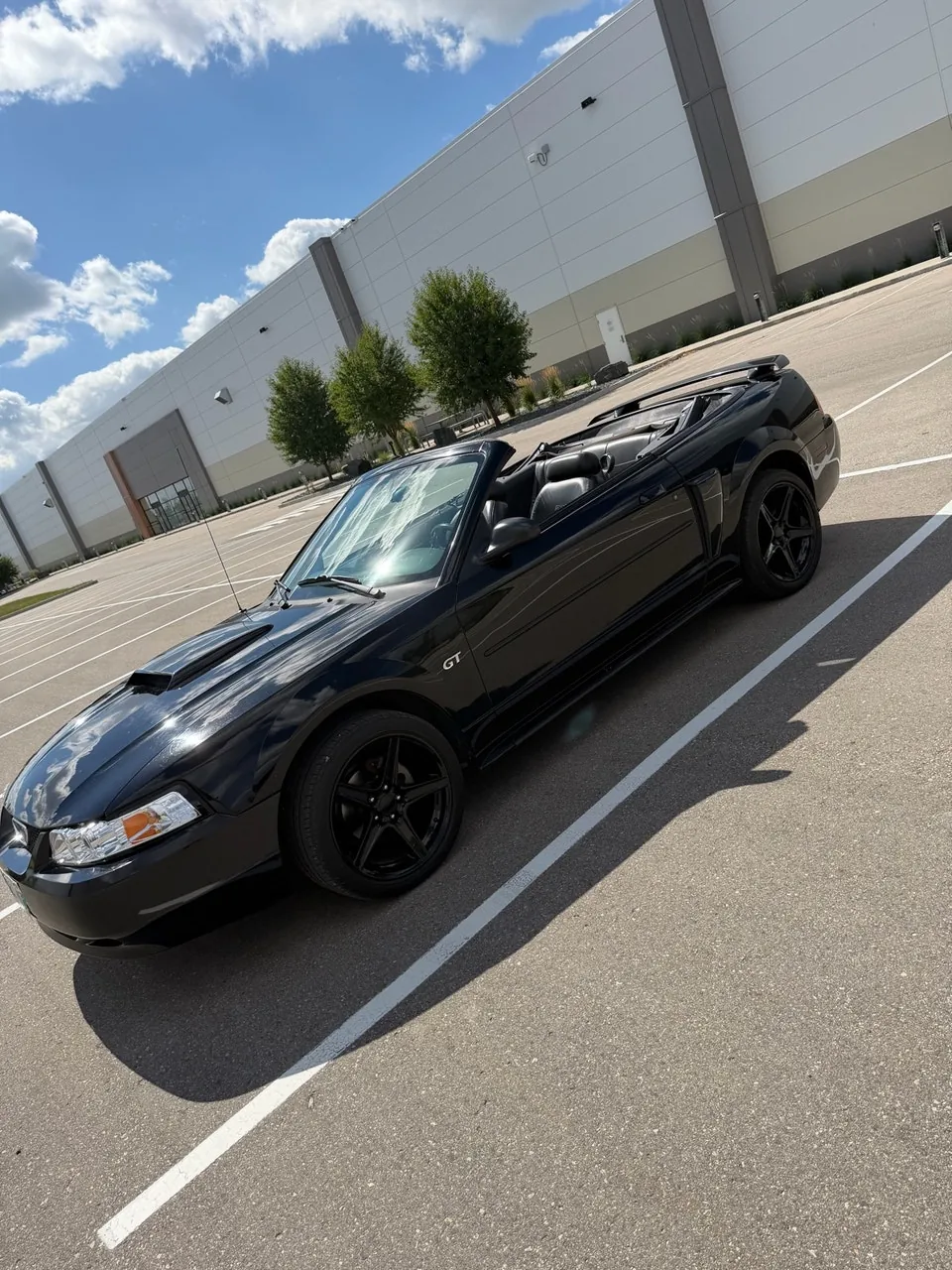 Ford Mustang 2002 photo 5