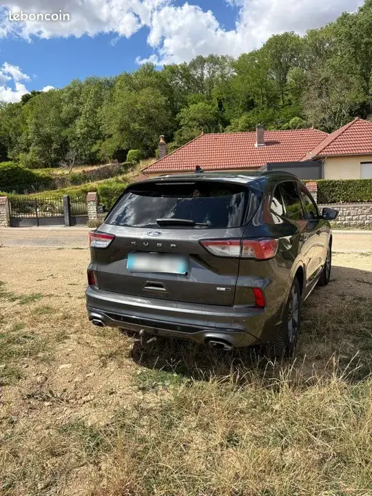 Ford Kuga 2020 photo 3