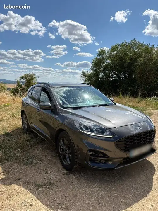 Ford Kuga 2020 photo 2